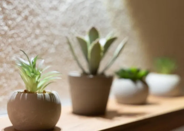 Zone - Vikendica Dubrave Gornje